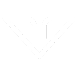 Hy Flyers Homepage-Hero-Symbol